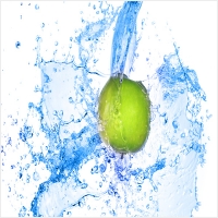 프레이인스트루먼트 PC 갤러리 18