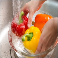 프레이인스트루먼트 PC 갤러리 17